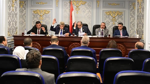  لجنة الشئون الدستورية