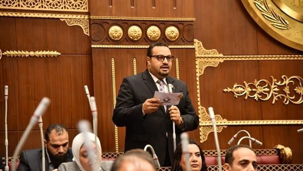 النائب أحمد القناوي