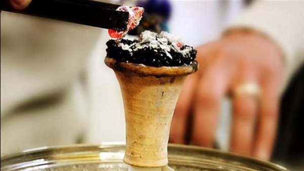 أسعار المعسل في مصر