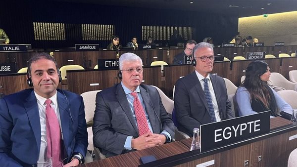 وزير التعليم العالى