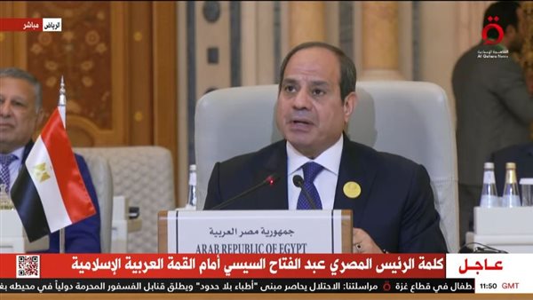 الرئيس السيسي