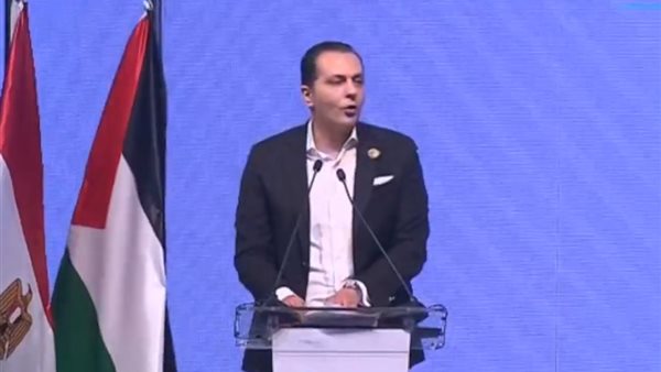 النائب أحمد عبدالجواد