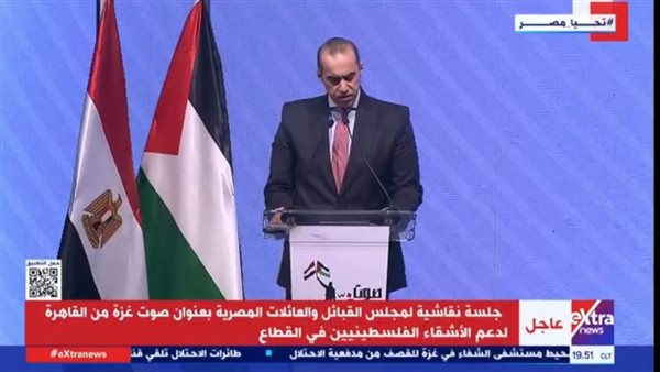 المستشار محمود فوزي