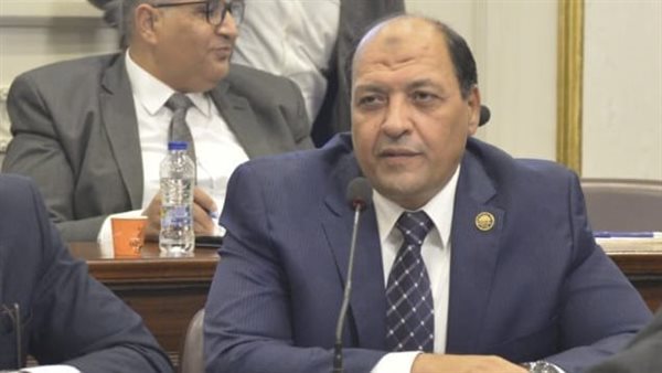  النائب محمد حمدي