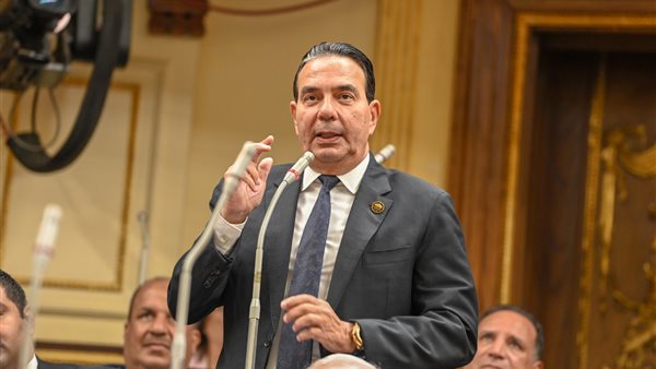 أيمن أبو العلا