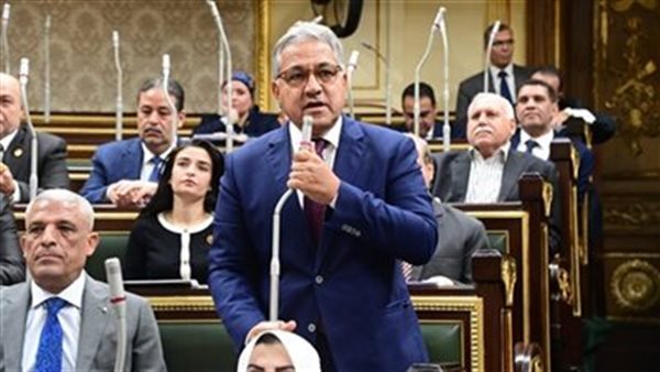 أحمد السجيني