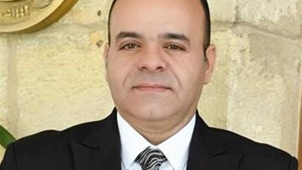  النائب عمرو القماطي