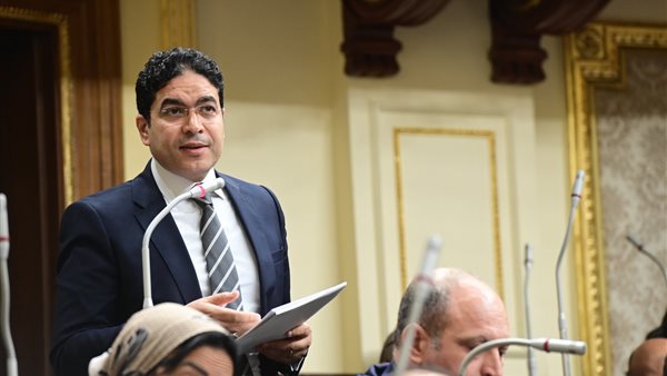 النائب ضياء الدين