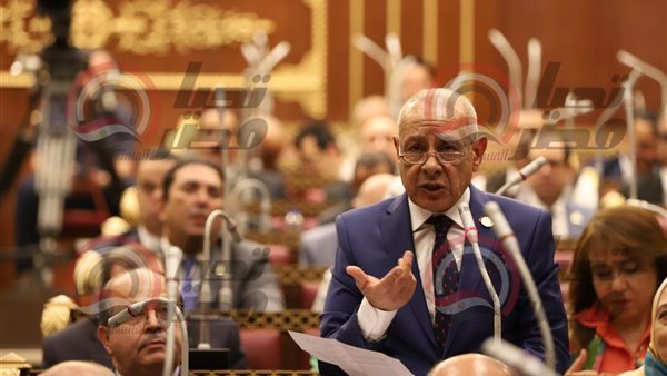 النائب عاطف علم الدين