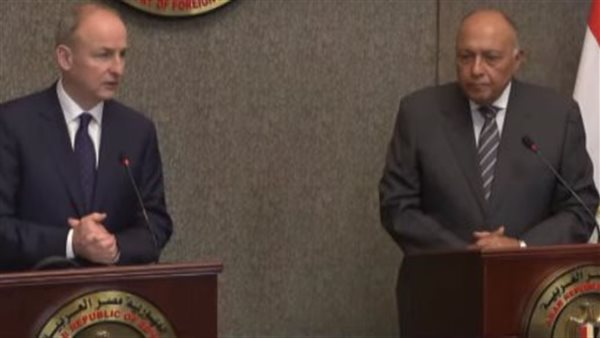 وزير الخارجية المصري