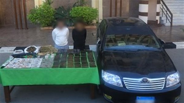 المخدرات المضبوطة