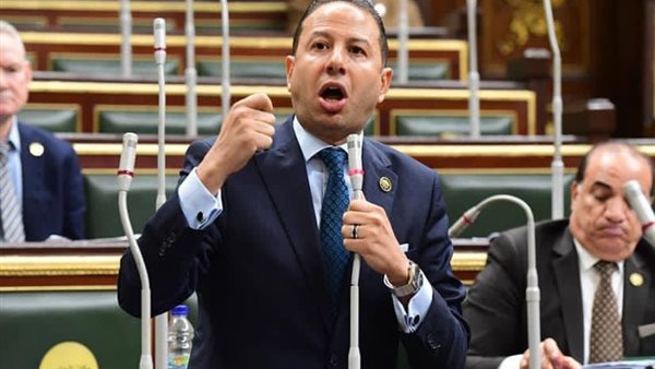 النائب حسن عمار 