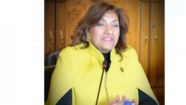  النائبة إيفلين متى