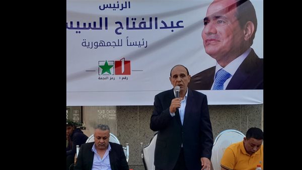  النائب مجدي سيف