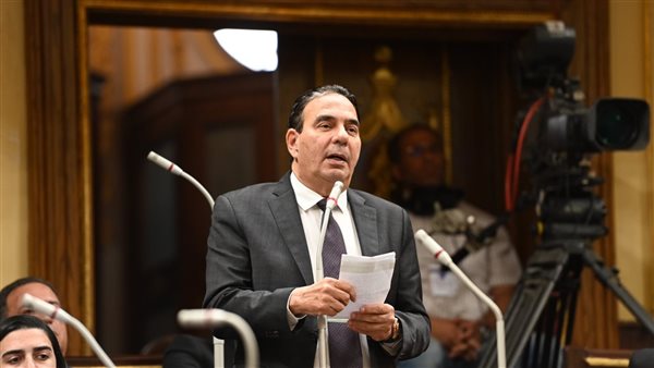 أيمن ابو العلا