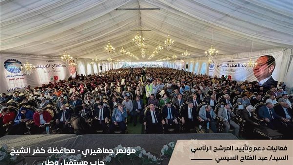 حملات لتأييد السيسي