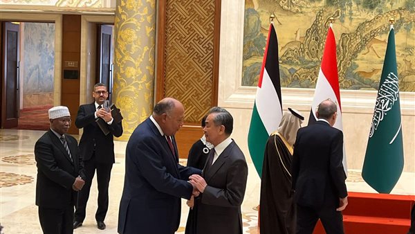 وزير الخارجية المصري