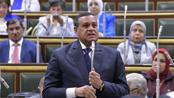 وزير التنمية المحلية