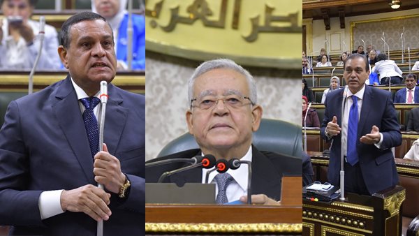 وزير المجالس النيابية