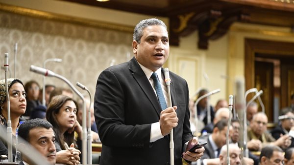  النائب عماد خليل