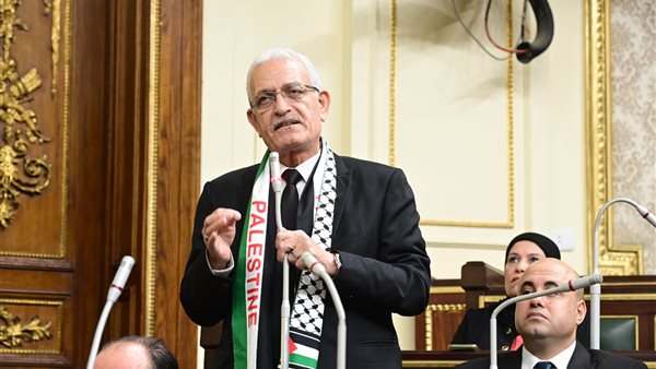 عاطف المغاوري