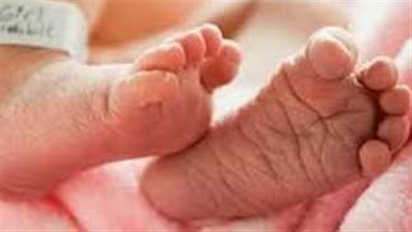 تعذيب صغير في الإسماعيلية