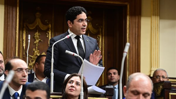 النائب ضياء الدين