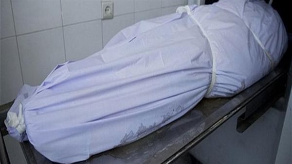 مصرع مسن بـ الدقهلية