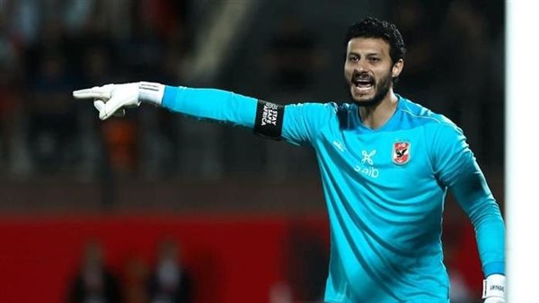 محمد الشناوي 