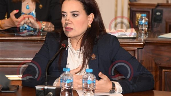 النائبة راجية الفقي،