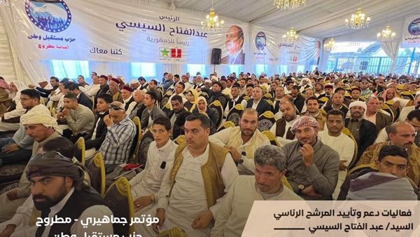 حملات لتأييد السيسي