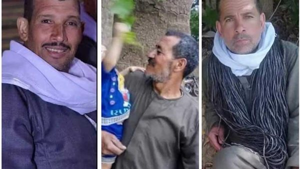 مصرع 3 عمال بـ المنوفية