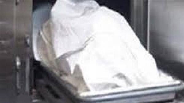 مصرع نقاش بـ الدقهلية