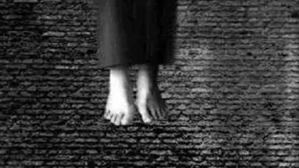 طالب الدقهلية 