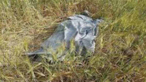 جثة - أرشيفية