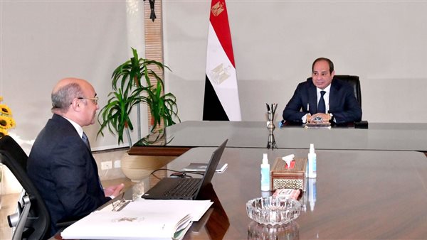 الرئيس السيسي ووزير