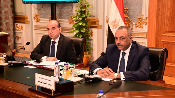 اللجنة الفرعية 