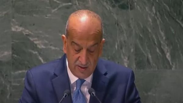 مندوب مصر بالأمم