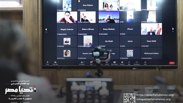 لقاءات المصريين بالخارج