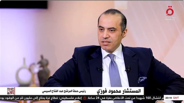 المستشار محمود فوزي