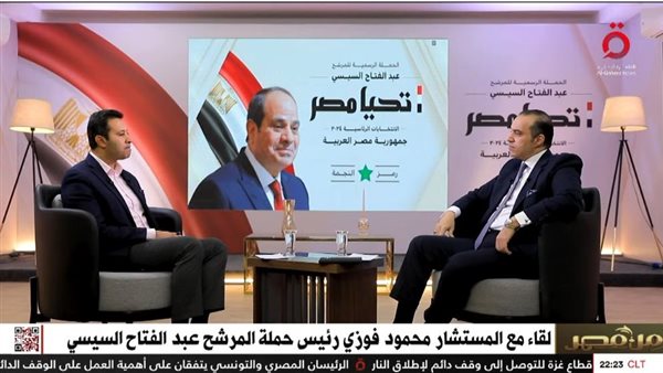 لقاء محمود فوزي