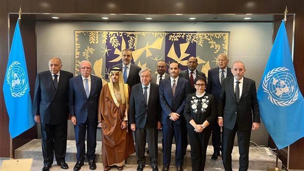 اللجنة الوزارية العربية/الإسلامية