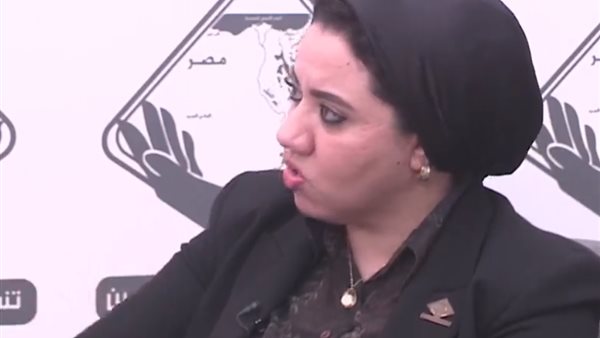 النائبة أميرة صابر