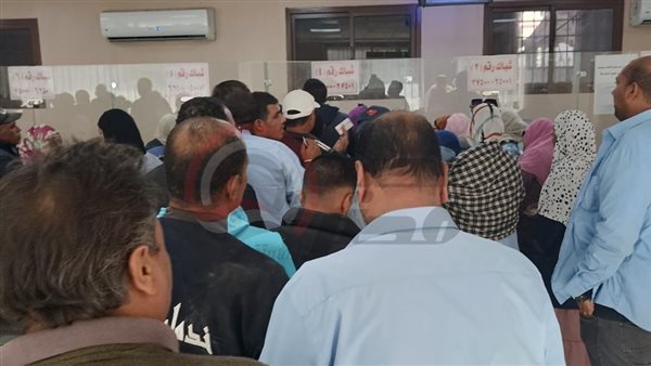 عمال نادي الزمالك