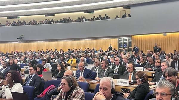 فوز مصر بعضوية مجلس