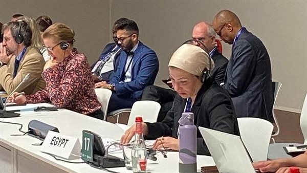 وزيرة البيئة 