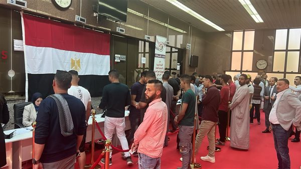 عضو الجالية المصرية