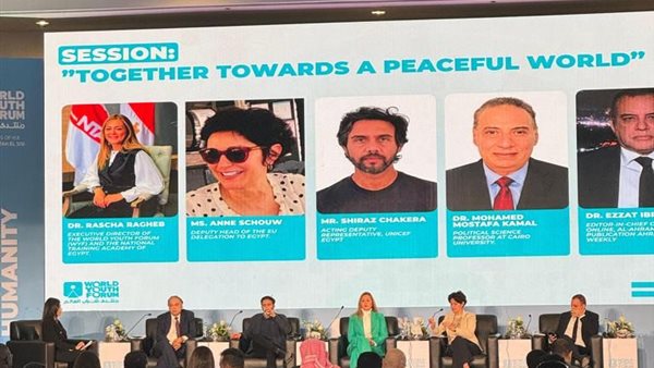 الكاتب الصحفي عزت