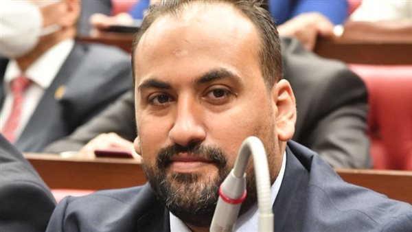  النائب محمد الرشيدي