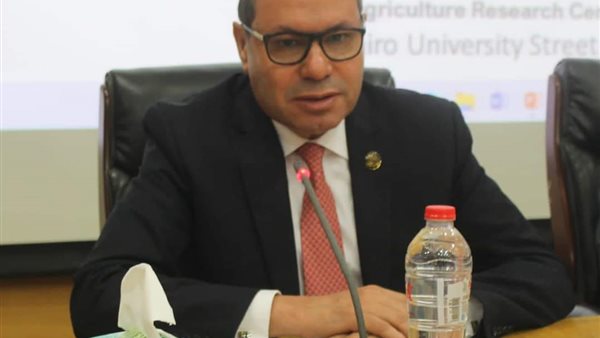 النائب هشام الحصري